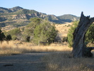 photo thumbnail #3