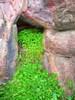 photo thumbnail #14