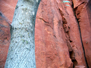 photo thumbnail #9