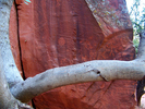 photo thumbnail #10