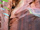 photo thumbnail #11