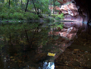 photo thumbnail #8