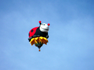 photo thumbnail #5