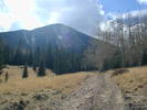 photo thumbnail #3