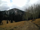 photo thumbnail #5