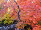 photo thumbnail #2