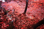 photo thumbnail #14