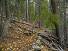 photo thumbnail #6