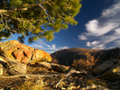 photo thumbnail #8