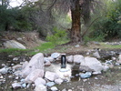 photo thumbnail #4