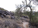 photo thumbnail #11