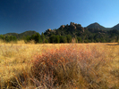 photo thumbnail #1