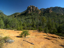 photo thumbnail #7