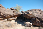 photo thumbnail #2