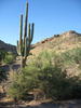 photo thumbnail #4