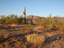 photo thumbnail #6