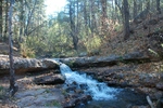 photo thumbnail #4