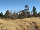 photo thumbnail #3