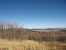 photo thumbnail #12