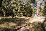 photo thumbnail #9