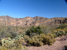 photo thumbnail #3