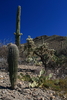 photo thumbnail #7