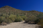 photo thumbnail #9