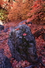 photo thumbnail #14