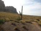 photo thumbnail #7