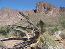 photo thumbnail #13