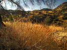 photo thumbnail #1