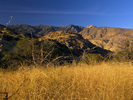 photo thumbnail #7