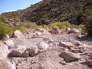 photo thumbnail #7