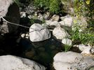photo thumbnail #14