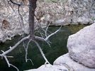 photo thumbnail #15