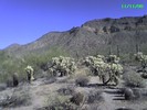 photo thumbnail #9