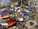 photo thumbnail #13