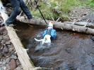 photo thumbnail #4