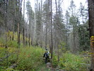 photo thumbnail #6