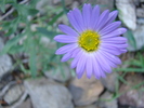 photo thumbnail #8