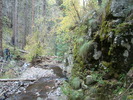 photo thumbnail #10