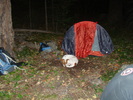 photo thumbnail #11