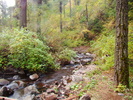 photo thumbnail #12