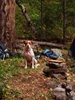 photo thumbnail #14