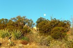 photo thumbnail #10