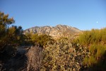 photo thumbnail #11