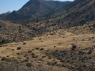 photo thumbnail #14