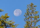 photo thumbnail #11