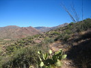 photo thumbnail #5