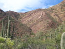 photo thumbnail #9